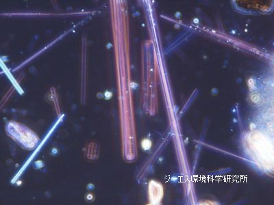 ジーエス環境科学研究所　分散染色法における顕微鏡写真